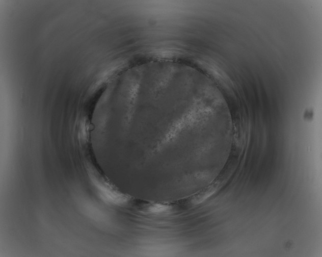 X0000092270718200709281224