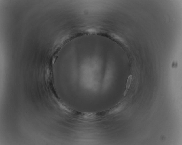 X0000092270720200709281224