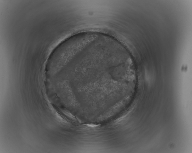 X0000092270721200709281223