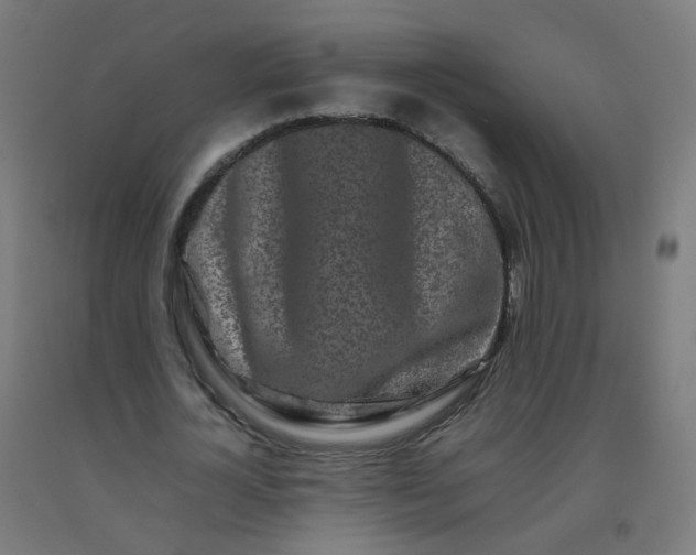 X0000092270724200709281223