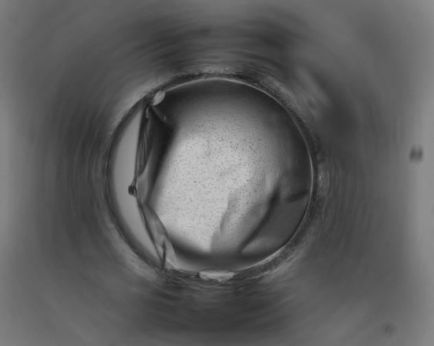 X0000092270725200709281223