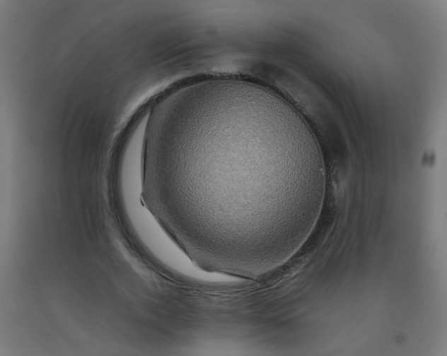X0000092270728200709281223