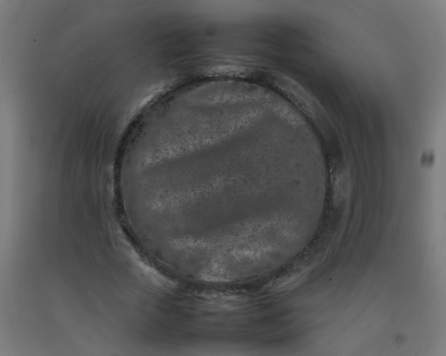 X0000092270729200709281223