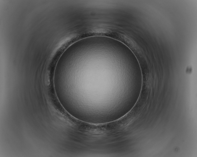 X0000092270731200709281223