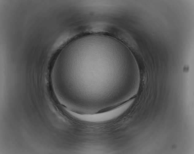 X0000092270732200709281223