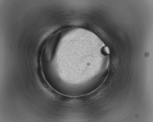 X0000092270734200709281223