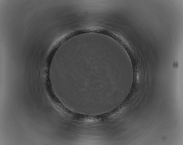 X0000092270736200709281223