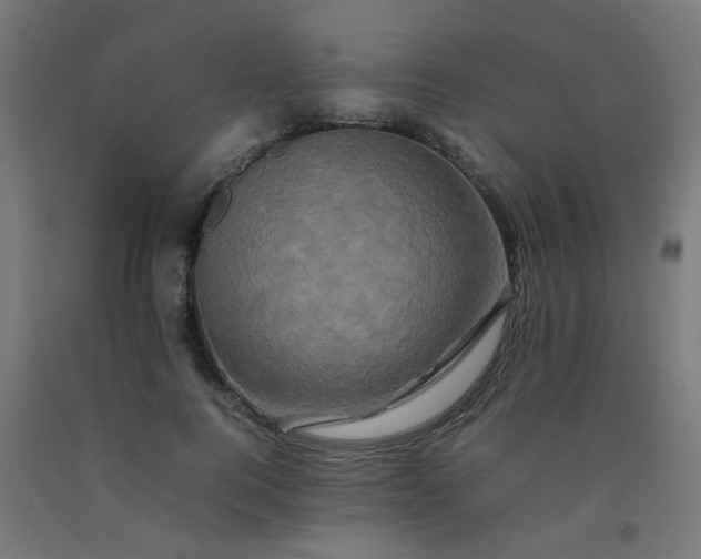 X0000092270744200709281223