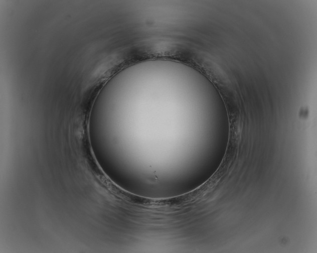 X0000092270746200709281223
