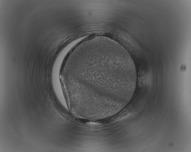 X0000092270748200709281223