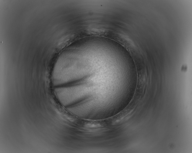 X0000092270749200709281223