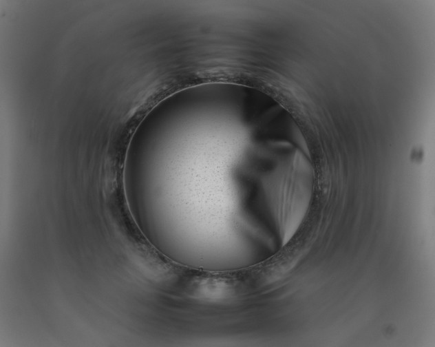 X0000092270751200709281223