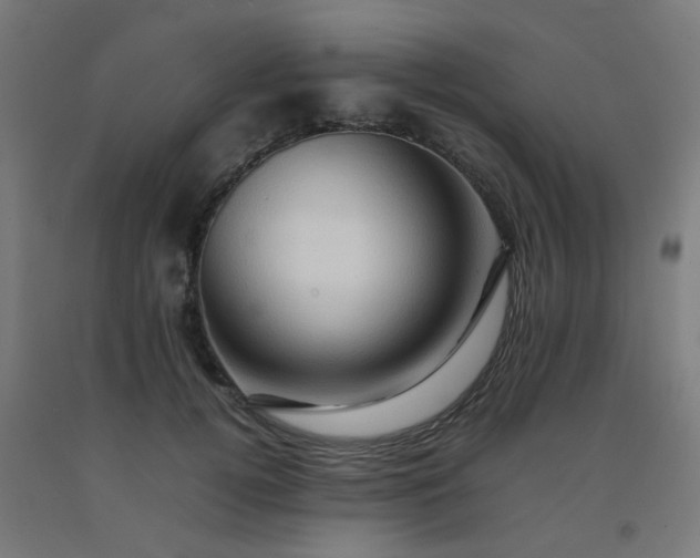 X0000092270752200709281223