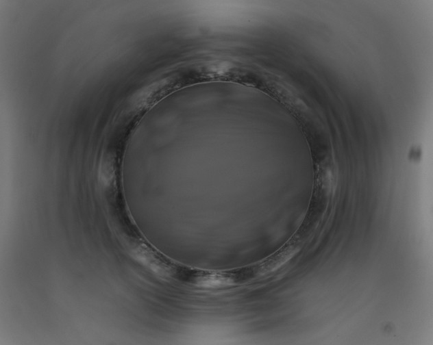 X0000092270754200709281223