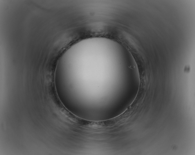 X0000092270756200709281223