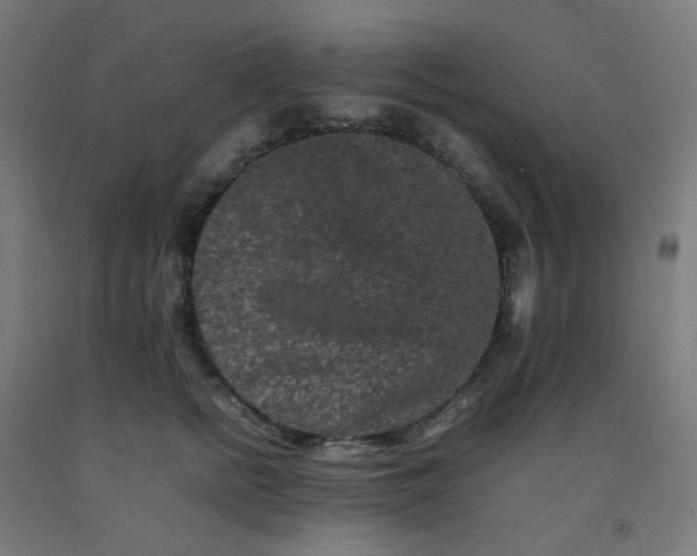 X0000092270758200709281223