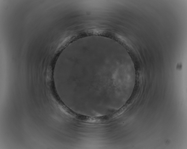 X0000092270760200709281223