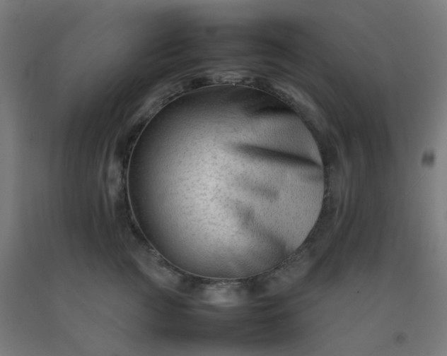 X0000092270761200709281223
