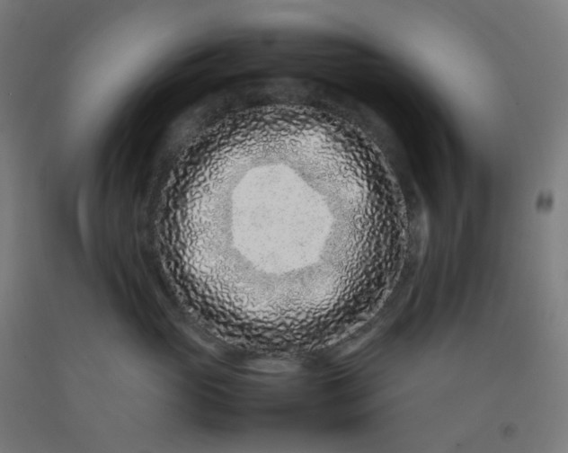 X0000092270765200709281223
