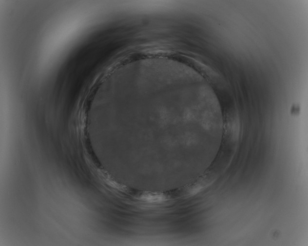 X0000092270767200709281224