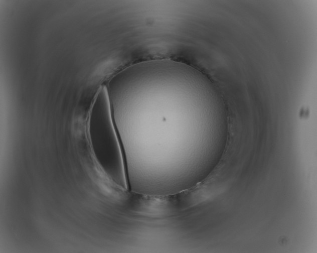 X0000092270768200709281224