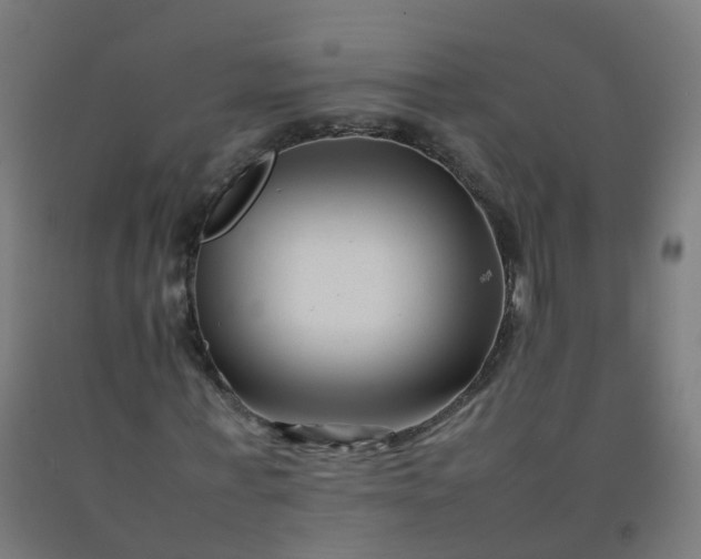 X0000092270771200709281223