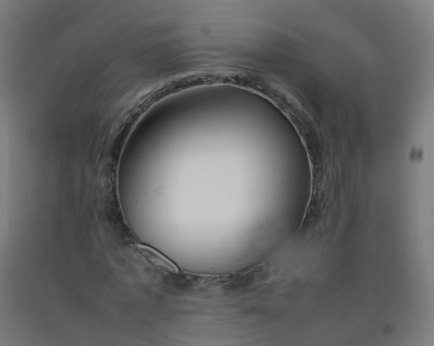 X0000092270773200709281223