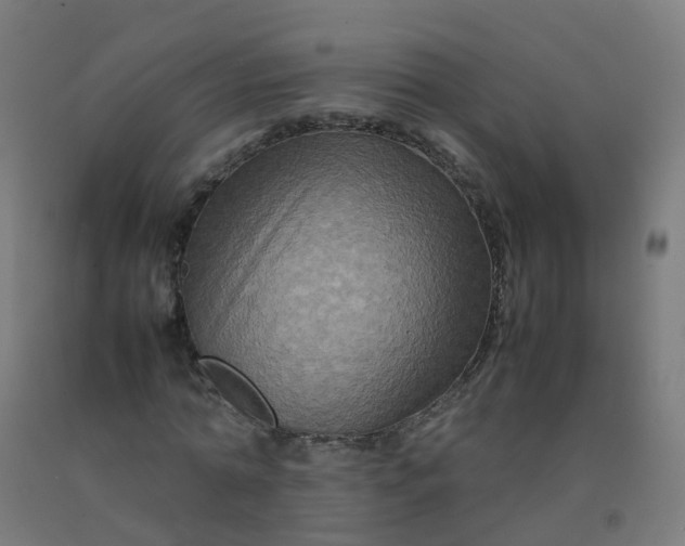 X0000092270774200709281223