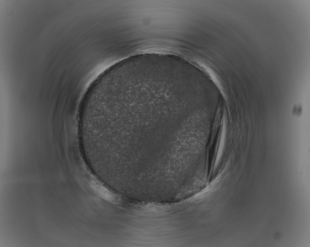 X0000092270779200709281223