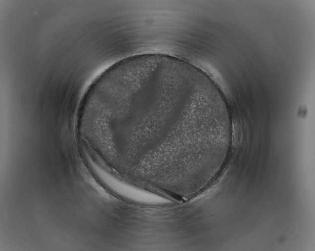 X0000092270780200709281223