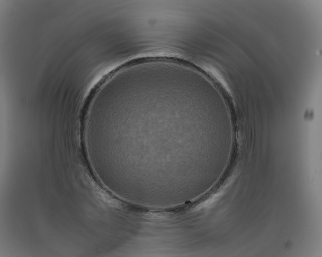 X0000092270781200709281223