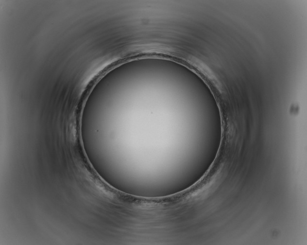 X0000092270782200709281223