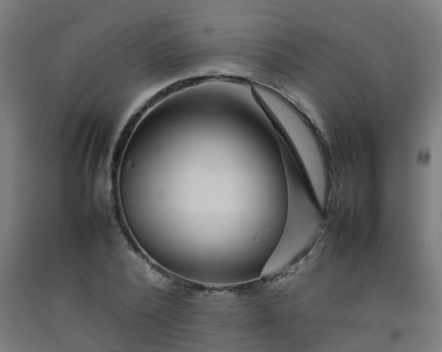 X0000092270784200709281223