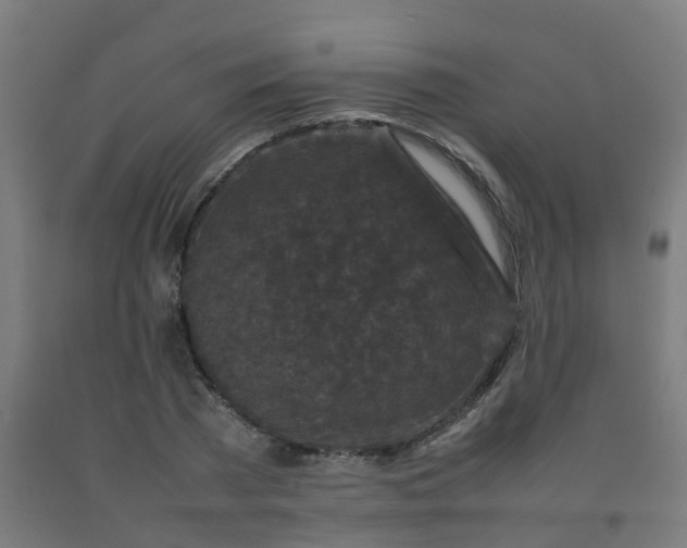 X0000092270785200709281223