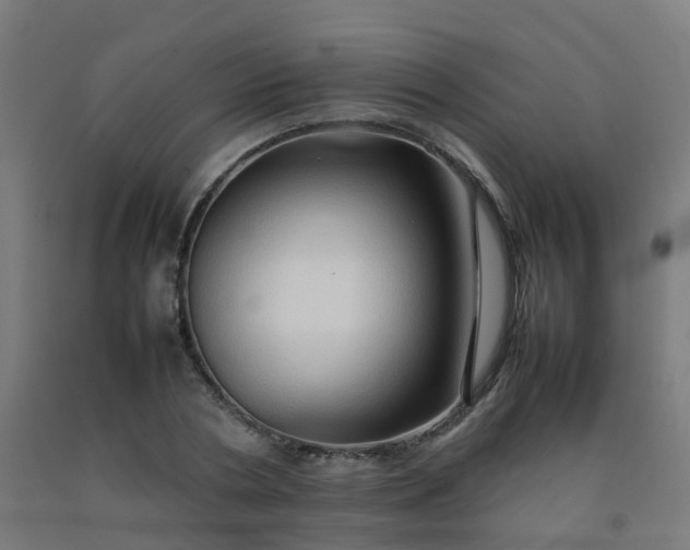 X0000092270786200709281223
