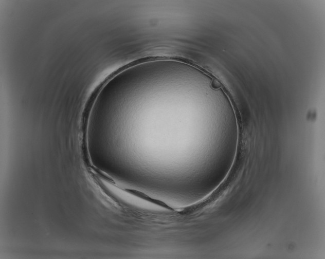 X0000092270787200709281223
