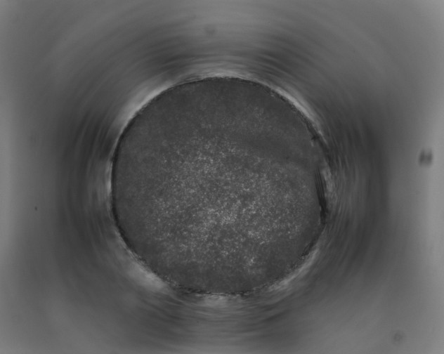 X0000092270790200709281223