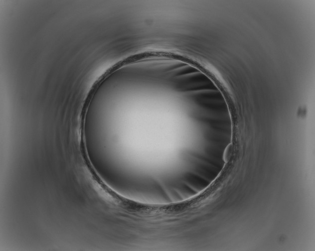 X0000092270791200709281223