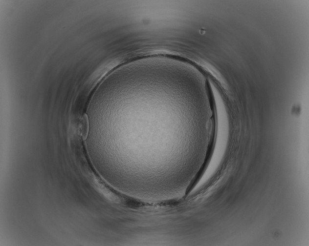 X0000092270793200709281223
