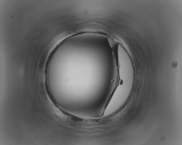 X0000092270795200709281223