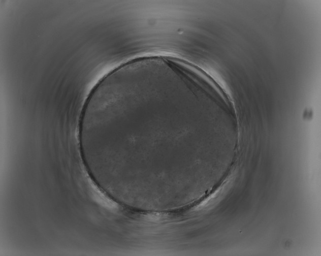 X0000092270797200709281222
