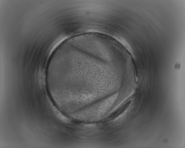 X0000092270798200709281222