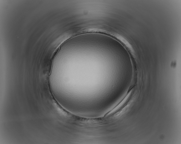 X0000092270801200709281222