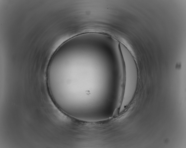 X0000092270803200709281222