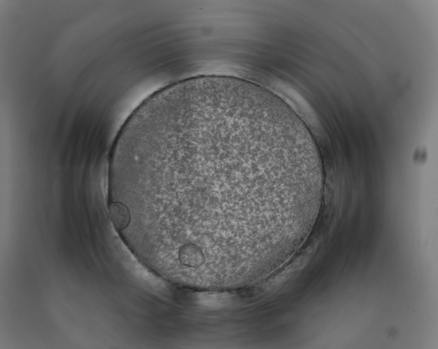 X0000092270804200709281222