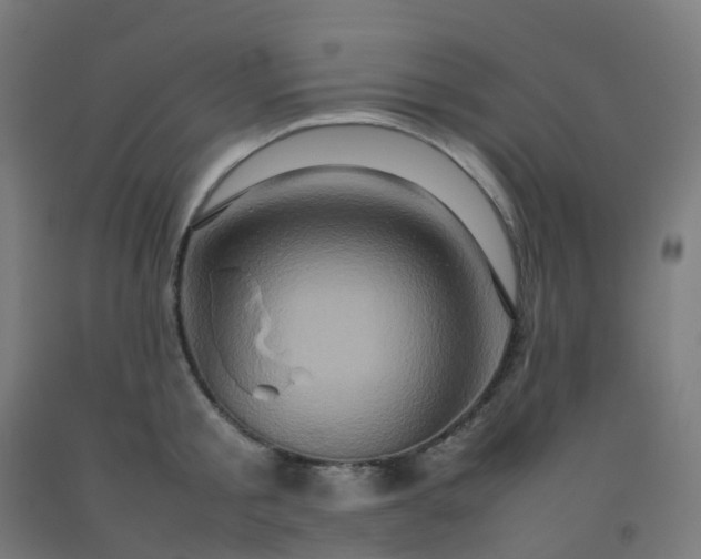 X0000092270805200709281222