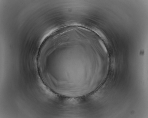 X0000092270806200709281222