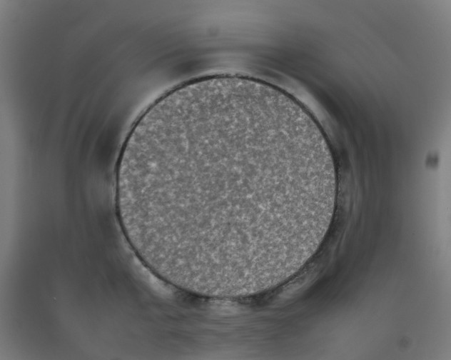 X0000092270807200709281222