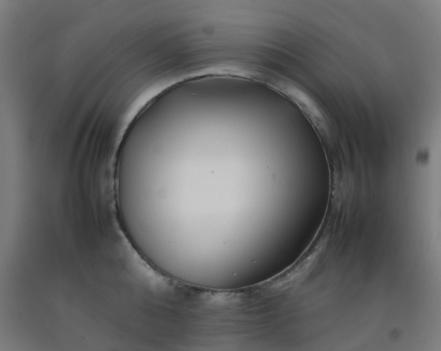 X0000092270808200709281222