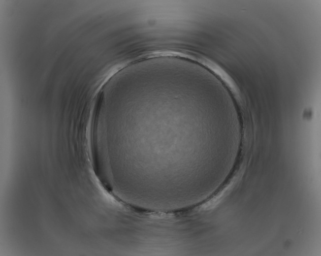 X0000092270809200709281222